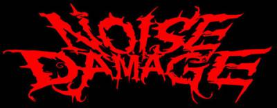 logo Noise Damage
